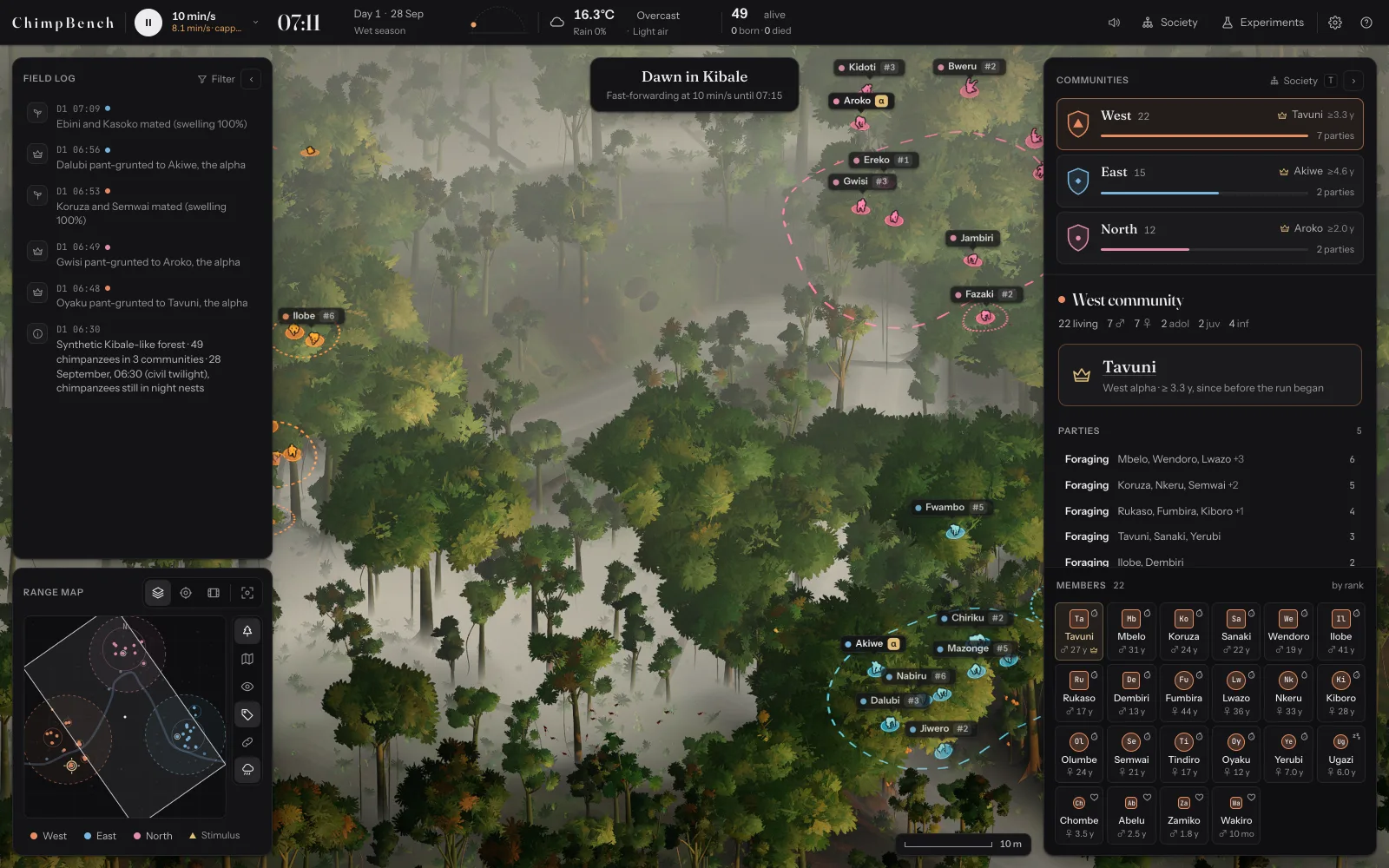 The ChimpBench app at dawn on day one: the field log and range map on the left; the misty forest in the middle, with labelled chimps and dashed community ranges; on the right, the communities with West selected, its alpha Tavuni, its foraging parties and a grid of its members.